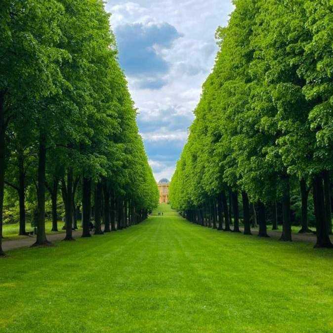 آهنگ جدید همه فکر میکنن مازراتی دارم